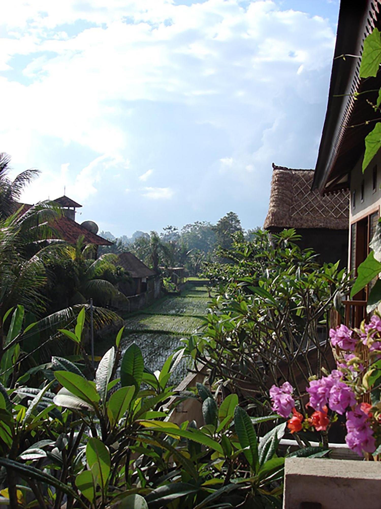 Villa Puriartha Ubud - Chse Certified Buitenkant foto